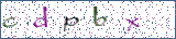 Type the letters shown in the picture
