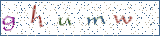 Type the letters shown in the picture