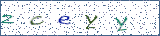 Type the letters shown in the picture