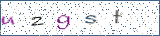 Type the letters shown in the picture