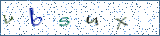 Type the letters shown in the picture