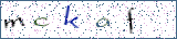 Type the letters shown in the picture
