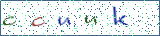 Type the letters shown in the picture