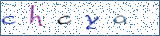 Type the letters shown in the picture