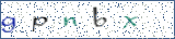 Type the letters shown in the picture