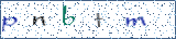 Type the letters shown in the picture