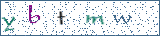 Type the letters shown in the picture