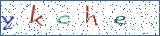 Type the letters shown in the picture