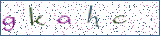 Type the letters shown in the picture