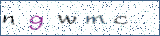 Type the letters shown in the picture