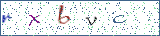 Type the letters shown in the picture