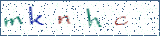 Type the letters shown in the picture
