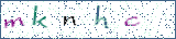 Type the letters shown in the picture