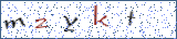 Type the letters shown in the picture
