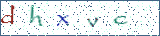 Type the letters shown in the picture