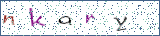 Type the letters shown in the picture