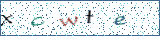 Type the letters shown in the picture