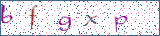 Type the letters shown in the picture
