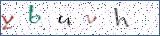 Type the letters shown in the picture