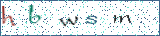 Type the letters shown in the picture
