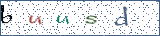 Type the letters shown in the picture