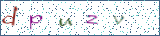 Type the letters shown in the picture