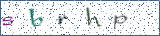 Type the letters shown in the picture