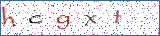 Type the letters shown in the picture