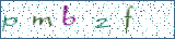 Type the letters shown in the picture