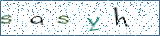 Type the letters shown in the picture