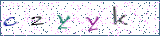 Type the letters shown in the picture