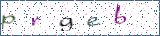 Type the letters shown in the picture