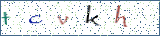 Type the letters shown in the picture