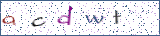Type the letters shown in the picture