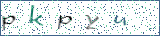 Type the letters shown in the picture