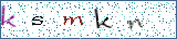 Type the letters shown in the picture