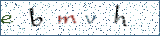 Type the letters shown in the picture