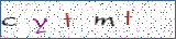 Type the letters shown in the picture