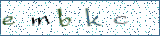 Type the letters shown in the picture