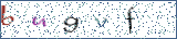 Type the letters shown in the picture