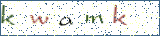 Type the letters shown in the picture