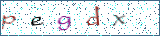 Type the letters shown in the picture