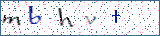 Type the letters shown in the picture