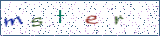 Type the letters shown in the picture