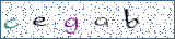 Type the letters shown in the picture