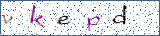 Type the letters shown in the picture
