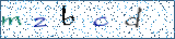 Type the letters shown in the picture
