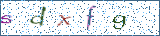 Type the letters shown in the picture