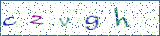 Type the letters shown in the picture