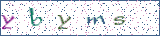 Type the letters shown in the picture